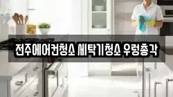 전주에어컨청소 세탁기청소 우렁총각