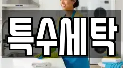 특수세탁