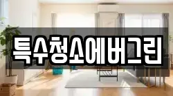 특수청소에버그린