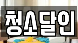 청소달인