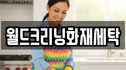 월드크리닝화재세탁