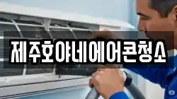 제주호야네에어콘청소