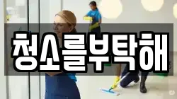 청소를부탁해
