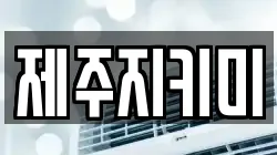 제주지키미