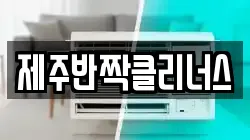 제주반짝클리너스