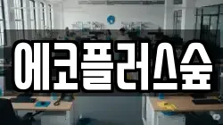 에코플러스숲