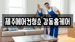 제주특별자치도 서귀포시 성산읍 청소,입주청소,사무실청소,에어컨청소,특수청소,상가청소,거주청소,유품정리