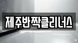 제주반짝클리너스
