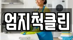 엄지척클린