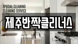 제주반짝클리너스