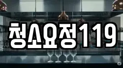 청소요정119