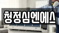 청정심엔에스