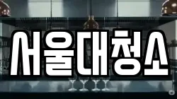 서울대청소