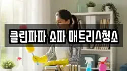 제주특별자치도 제주시 도평동 청소,입주청소,사무실청소,에어컨청소,특수청소,상가청소,거주청소,유품정리