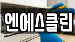 엔에스클린