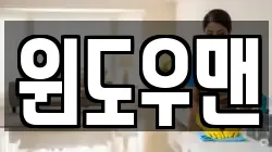윈도우맨
