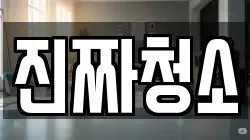 진짜청소