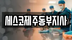 세스코제주동부지사