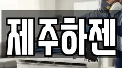 제주하젠