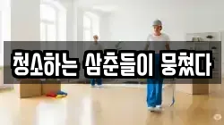 청소하는 삼춘들이 뭉쳤다