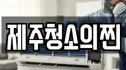 제주청소의찐