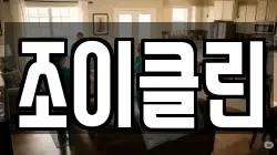 조이클린