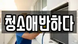 청소애반하다