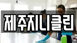 제주지니클린