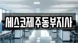 제주특별자치도 제주시 오등동 청소,입주청소,사무실청소,에어컨청소,특수청소,상가청소,거주청소,유품정리