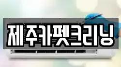 제주카펫크리닝
