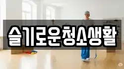 슬기로운청소생활
