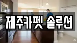 제주카펫 솔루션