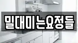 밀대미는요정들