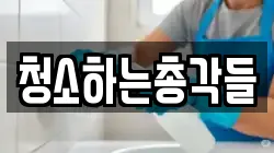 청소하는총각들