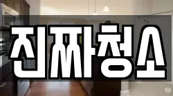진짜청소