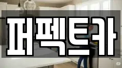 퍼펙트카