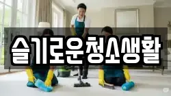 슬기로운청소생활