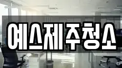 예스제주청소