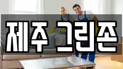 제주 그린존
