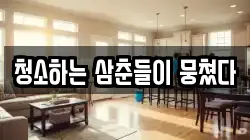 청소하는 삼춘들이 뭉쳤다