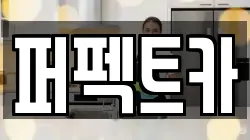 퍼펙트카