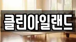클린아일랜드