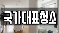 국가대표청소