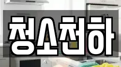 청소천하