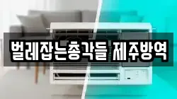 벌레잡는총각들 제주방역