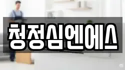 청정심엔에스