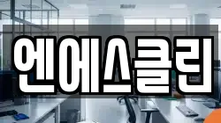 엔에스클린