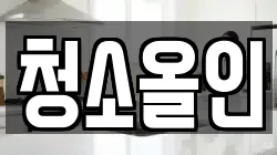 청소올인