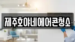 제주호야네에어콘청소