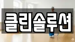 클린솔루션